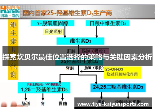 探索坎贝尔最佳位置选择的策略与关键因素分析